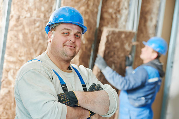 Best Attic Insulation Installation  in Fritch, TX